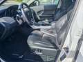 Land Rover Range Rover Evoque Range Rover Evoque  2.0 td4 SE Dynamic 150cv auto Weiß - thumbnail 12