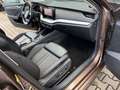 Skoda Octavia First Edition°Leder°Automat°SitzBlft/El Hnědá - thumbnail 15