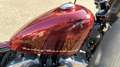 Harley-Davidson Sportster Forty Eight XL1200X Rot - thumbnail 11
