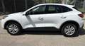 Ford Kuga 1.5 EcoBlue Aut. COOL&CONNECT Weiß - thumbnail 3