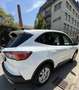 Ford Kuga 1.5 EcoBlue Aut. COOL&CONNECT Weiß - thumbnail 6