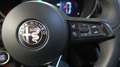 Alfa Romeo Stelvio Stelvio 2.2 Turbodiesel 160 CV AT8 RWD Super Rood - thumbnail 26