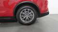 Alfa Romeo Stelvio Stelvio 2.2 Turbodiesel 160 CV AT8 RWD Super Rood - thumbnail 13