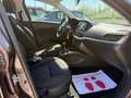 Fiat Tipo Tipo 5p 1.4  Lounge Gpl 95cv Navigatore Marrone - thumbnail 14
