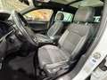 Volkswagen Passat Variant Alltrack 2.0 TDI 4Motion*Pano* Blanco - thumbnail 21