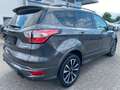 Ford Kuga 1.5 ST-Line*WinterP*DesignP4*Pano* Grigio - thumbnail 4
