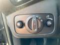 Ford Kuga 1.5 ST-Line*WinterP*DesignP4*Pano* Grigio - thumbnail 13