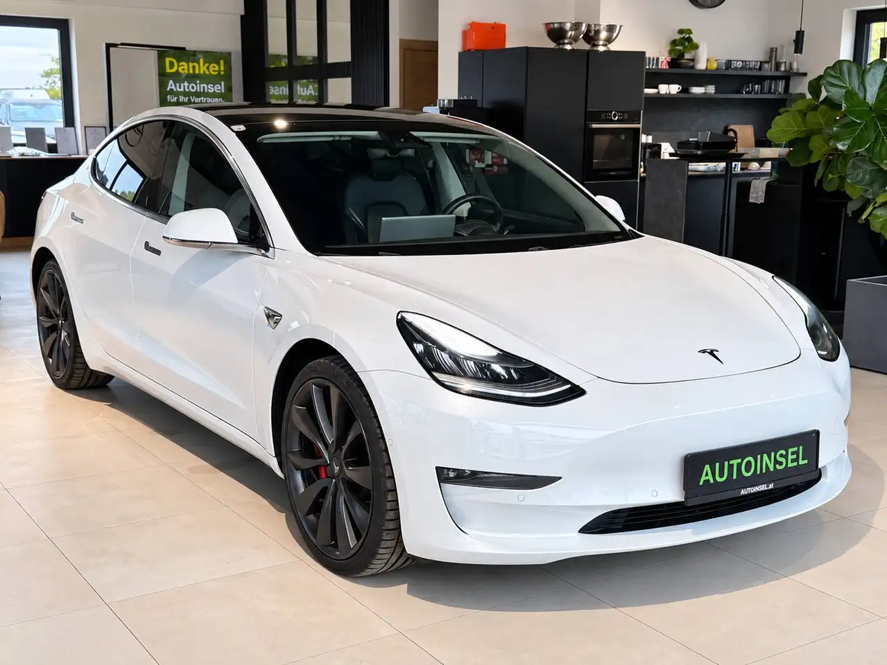 Tesla Model 3 Performance AWD, миниатюра 3