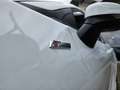 Ford Puma 1.0 EcoBoost Hybrid ST-LINE X Wit - thumbnail 12