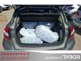 Nissan Pulsar 1.5 dCi Acenta Klimaaut. SHZ GRA HU 07/26 - thumbnail 10