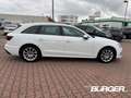 Audi A4 Avant 30 TDI advanced HUD Navi Digitales Cockpit M Blanc - thumbnail 4