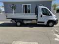 Fiat Ducato - thumbnail 1