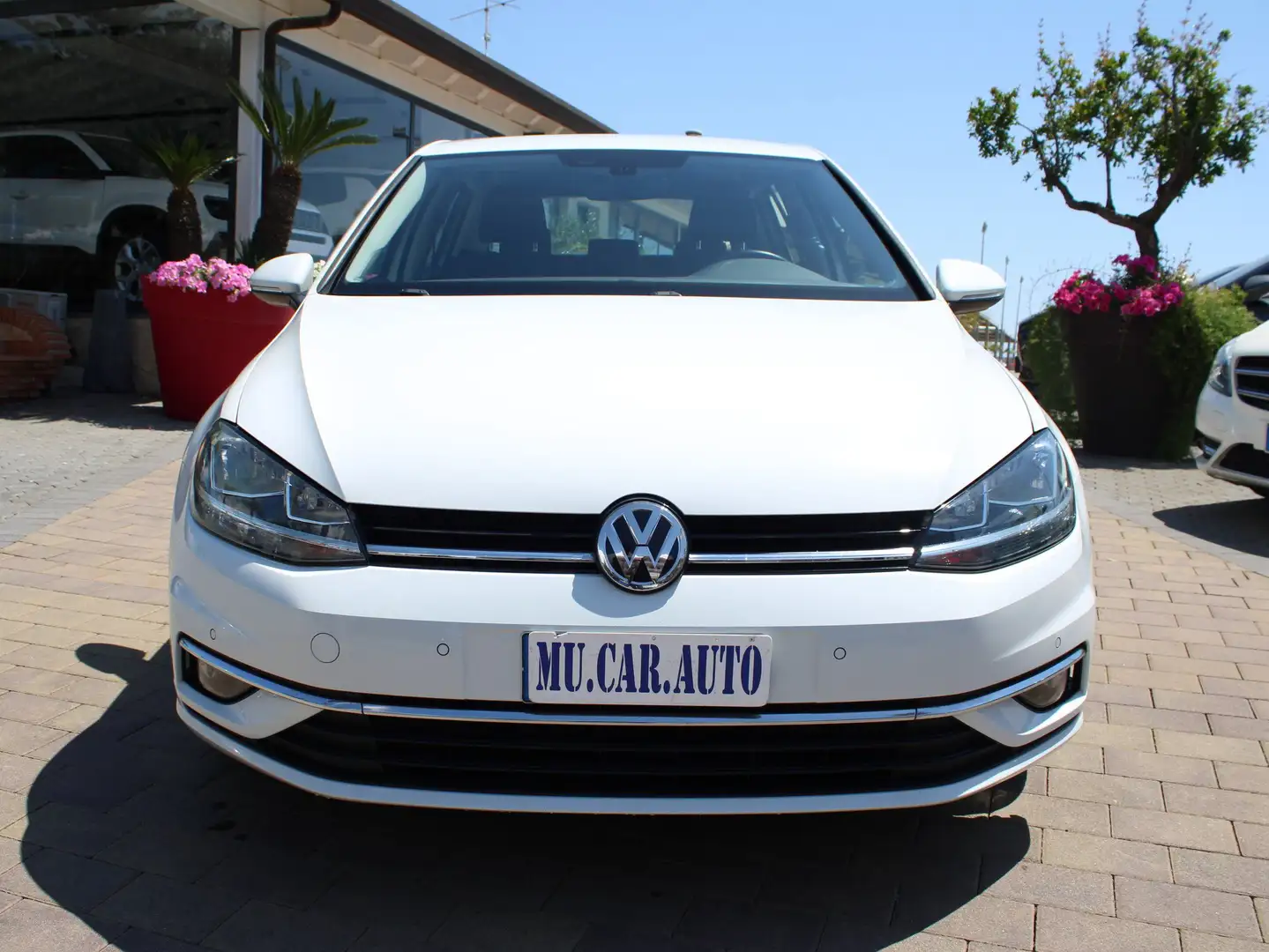 Volkswagen Golf Golf 5p 1.6 tdi Executive 115cv Bianco - 2