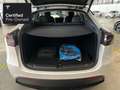 Tesla Model Y Performance “Certified Pre-Owned” Wit - thumbnail 18