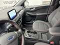 Ford Kuga 1.5 ecoblue ST-Line X 2wd 120cv auto Grigio - thumbnail 6