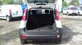 Fiat Panda VAN 2 POSTI 1.2 69CV Wit - thumbnail 3