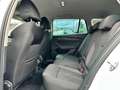 Skoda Octavia Octavia Combi Clever TSI DSG Navi AHK Weiß - thumbnail 11