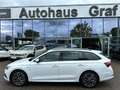Skoda Octavia Octavia Combi Clever TSI DSG Navi AHK Weiß - thumbnail 3