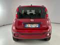 Fiat Panda Cross 1.0 FireFly Hybrid Rouge - thumbnail 5