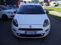 Fiat Punto Punto 5p 1.2 Young E6 Bianco - thumbnail 3