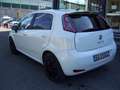 Fiat Punto Punto 5p 1.2 Young E6 Bianco - thumbnail 4