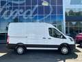 Ford Transit Kasten E 350 L2 Trend Navi 360 Kamera Dyn. Kurvenl Weiß - thumbnail 3