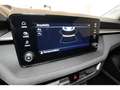 Skoda Fabia 1.0TSI Selection LED SHZ GRA Climatronic Blau - thumbnail 12