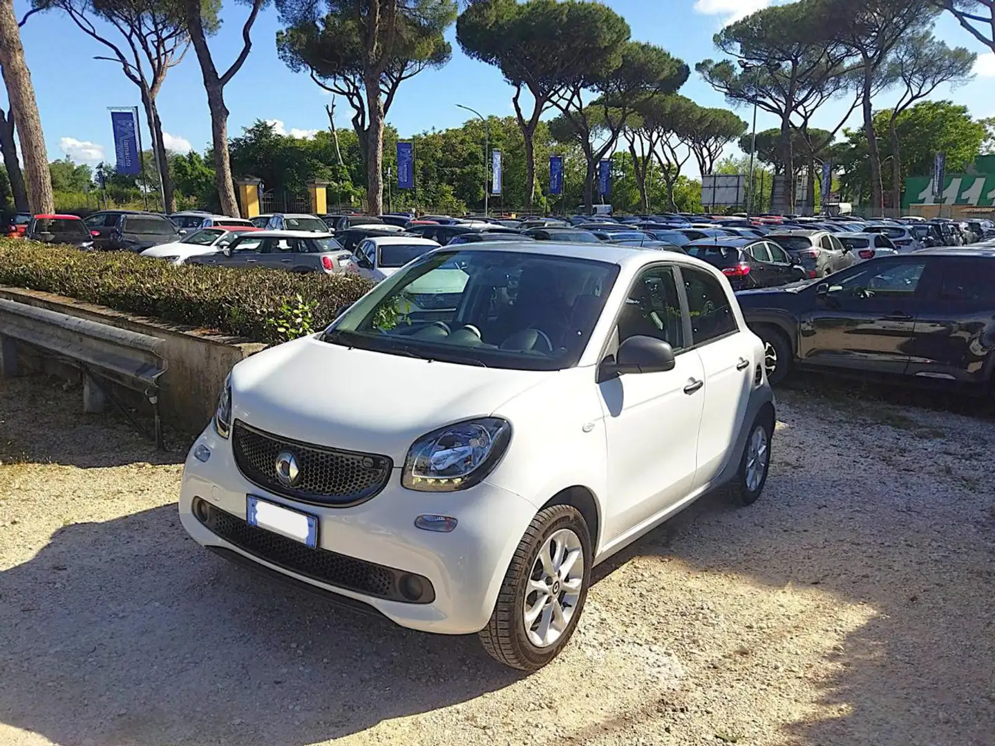 smart forFour 1.0cc YOUNGSTER 71cv CRUISE CONTROL CERCHI LEGA Bianco - 2
