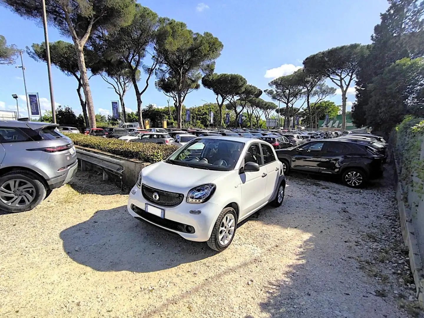 smart forFour 1.0cc YOUNGSTER 71cv CRUISE CONTROL CERCHI LEGA Bianco - 1
