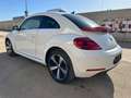 Volkswagen Beetle 1.2 TSI Design 105 Blanco - thumbnail 6
