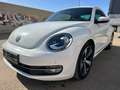 Volkswagen Beetle 1.2 TSI Design 105 Blanco - thumbnail 2