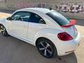 Volkswagen Beetle 1.2 TSI Design 105 Blanco - thumbnail 13