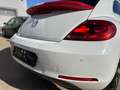 Volkswagen Beetle 1.2 TSI Design 105 Blanco - thumbnail 11