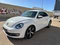 Volkswagen Beetle 1.2 TSI Design 105 Blanco - thumbnail 5
