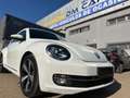 Volkswagen Beetle 1.2 TSI Design 105 Weiß - thumbnail 14