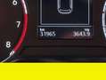 Volkswagen - thumbnail 13
