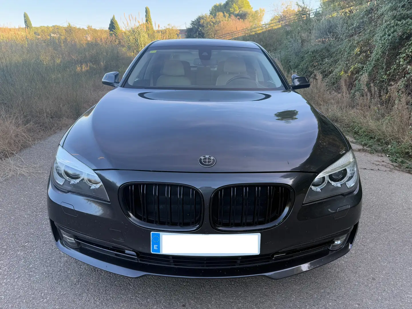 BMW 730 730LdA Gris - 2