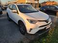 Toyota RAV 4 Rav4 IV 2016 Rav4 2.0 d-4d Style 2wd mt my17 Bianco - thumbnail 1