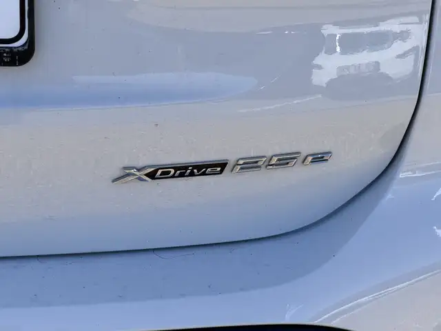 BMW X1 view 10