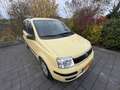 Fiat Panda Standaard Geel - thumbnail 1