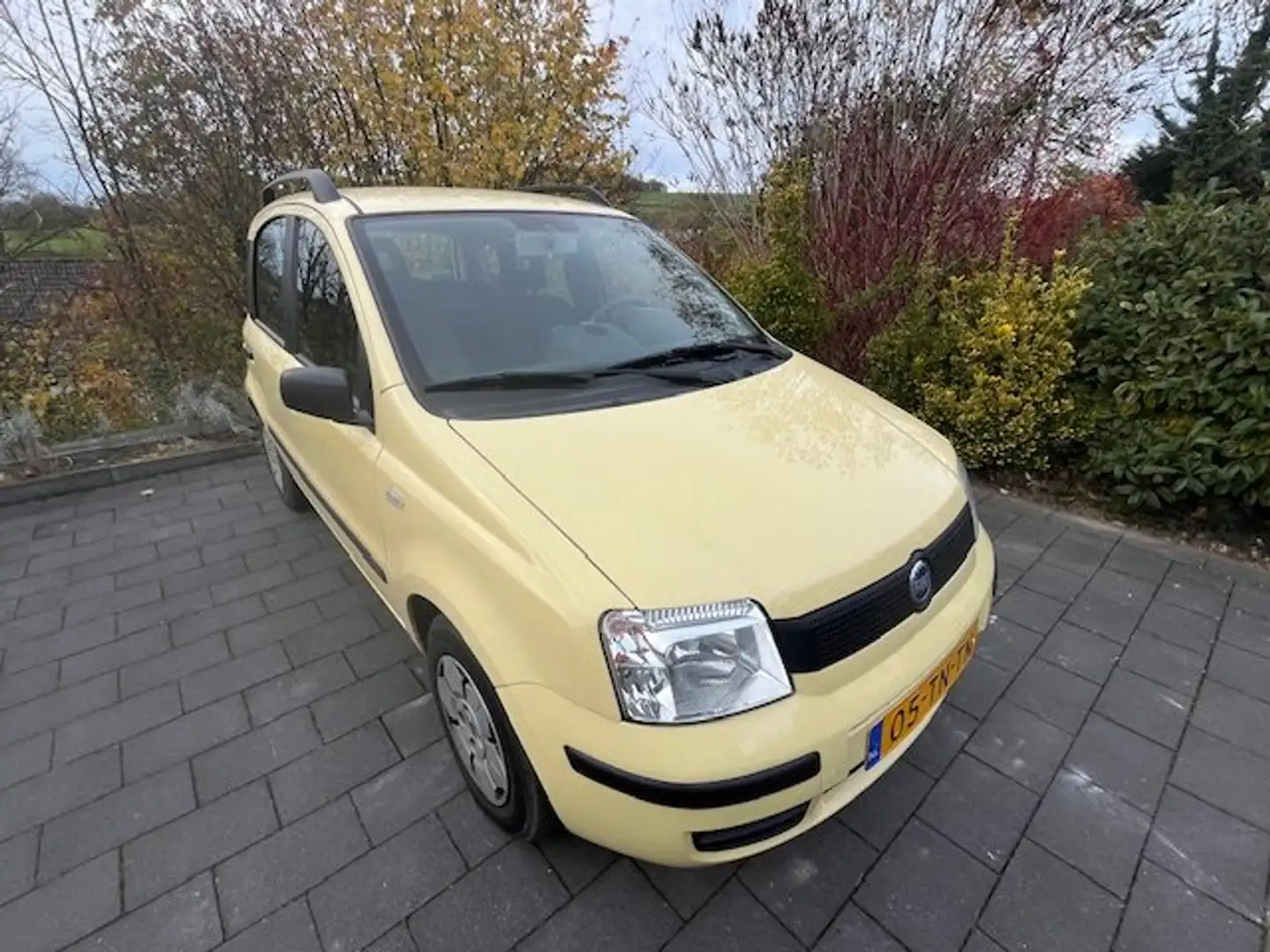 Fiat Panda Standaard Geel - 1