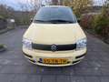 Fiat Panda Standaard Geel - thumbnail 3