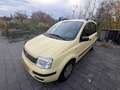 Fiat Panda Standaard Geel - thumbnail 2