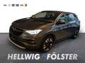 Opel Grandland X INNOVATION SHZ LenkradHZG Navi Apple CarPlay And Grau - thumbnail 1