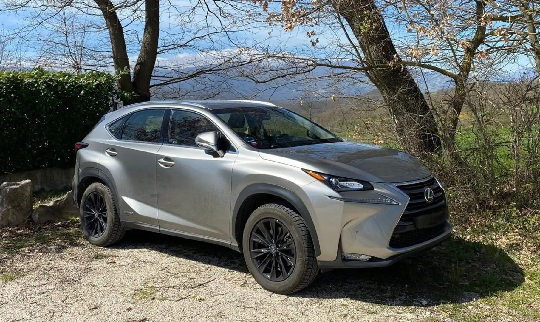 Lexus NX 300h hybrid - 1