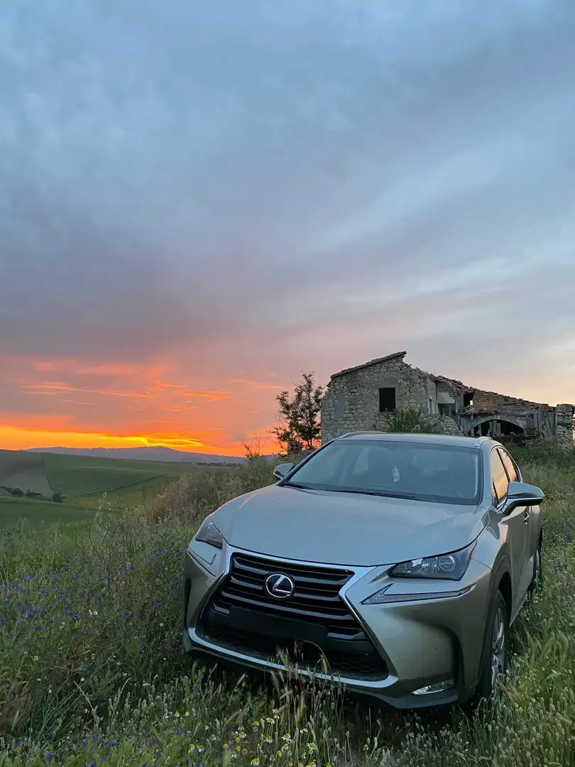 Lexus NX 300h hybrid - 2