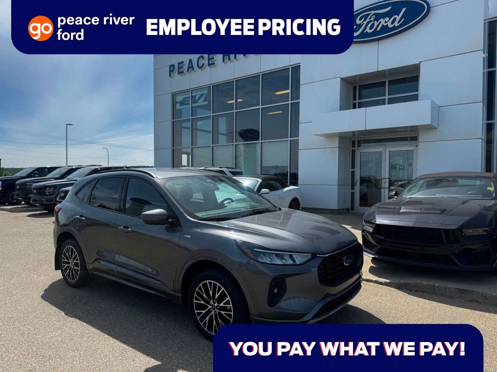 2023 Ford Escape ST-Line Select AWD
