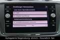 Volkswagen Tiguan 1.5TSI DSG UNITED*NAVI*KAMERA*AHK*APPLE C Grijs - thumbnail 19