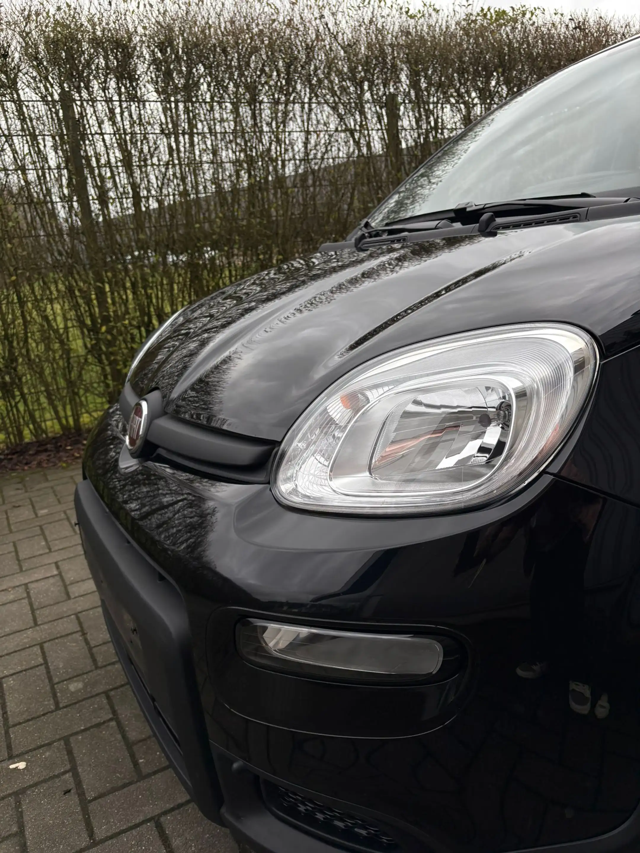 Fiat New Panda 1.0 HYBRID — photo 6