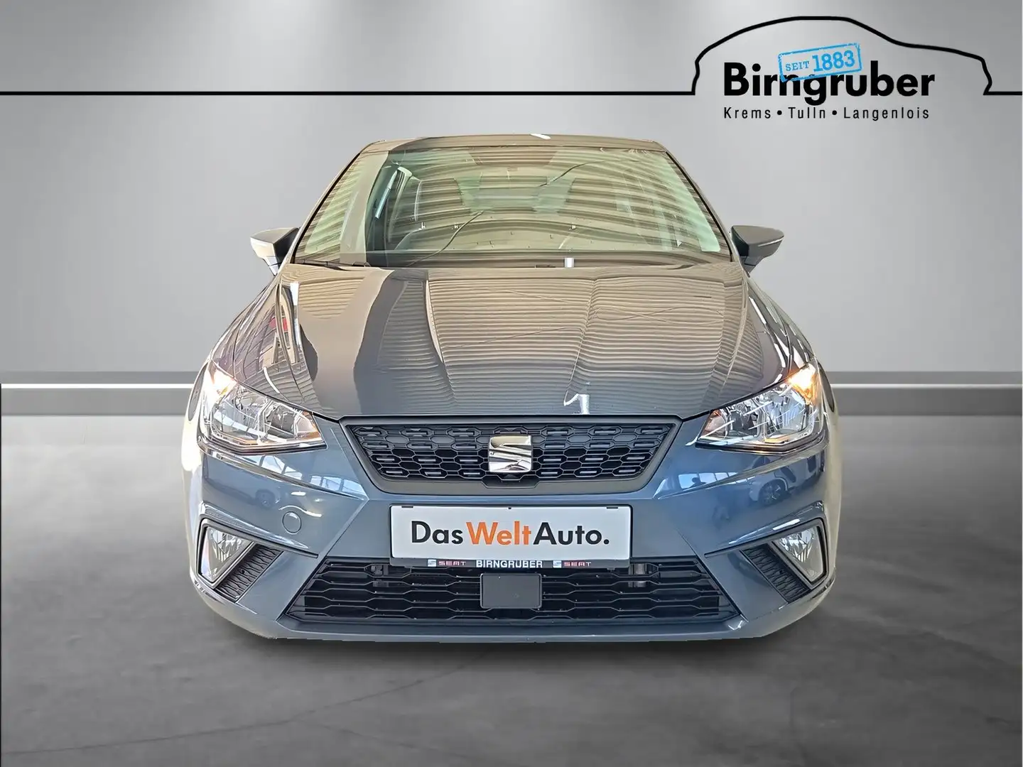 SEAT Ibiza Austria Edition Grau - 2